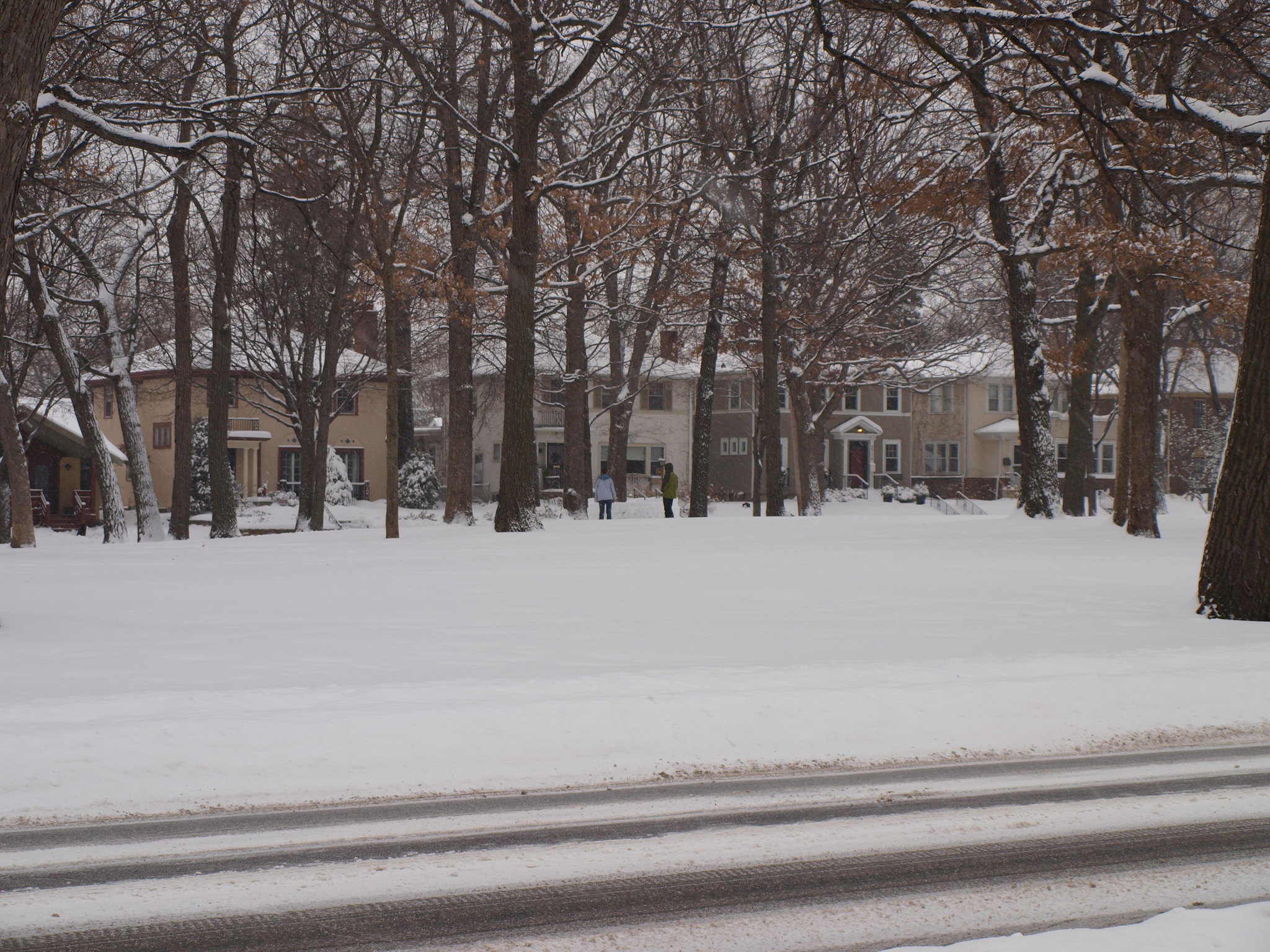Snow covered neighborhood street